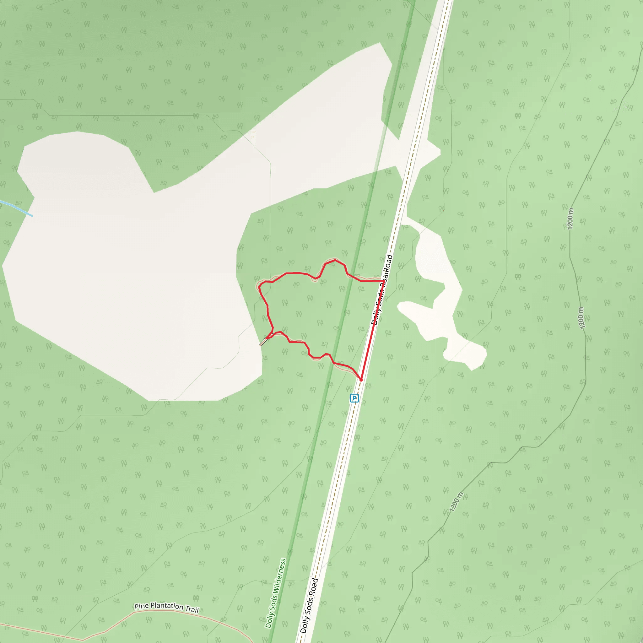 Dolly Sods Road Loop mobile static map