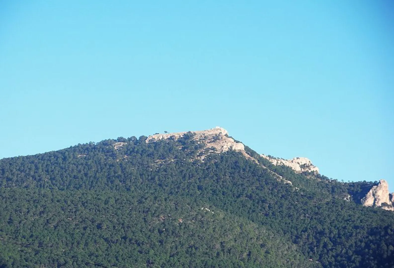 An image depicting the trail Siles - Bucentaina - Siles and its surrounding area.