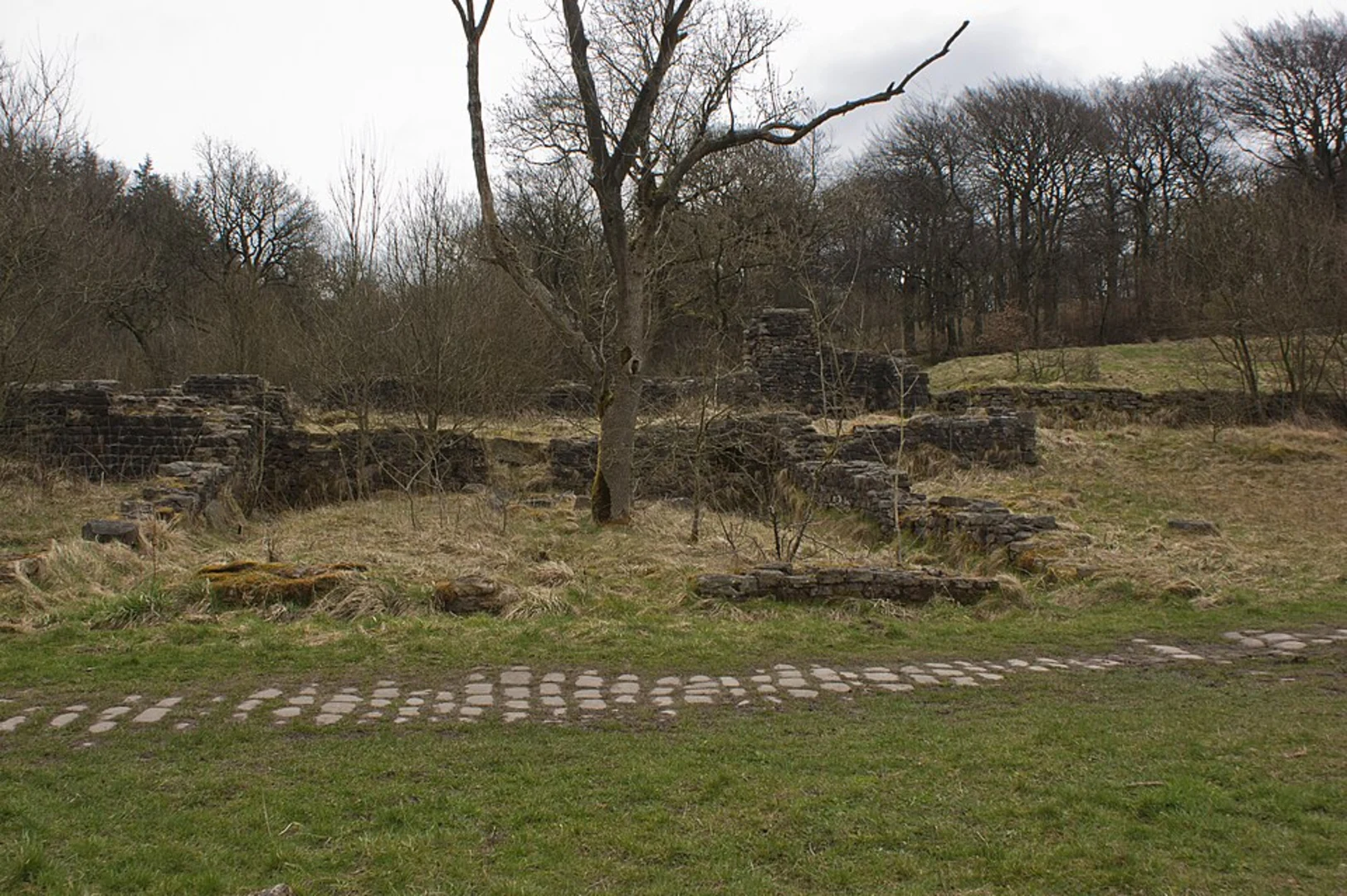 An image depicting the trail Upper Roddlesworth Reservoir, Tockholes Plantation and Thorny Bank Plantation Loop and its surrounding area.