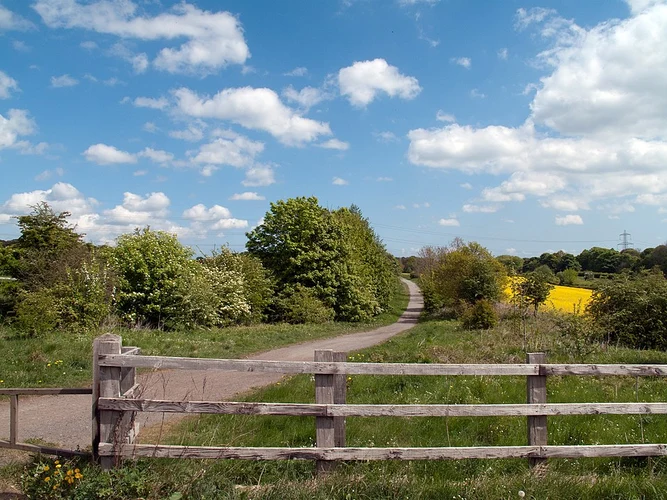 Brandon Loop