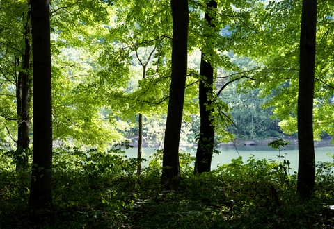 Kiskiminetas River via Roaring Run