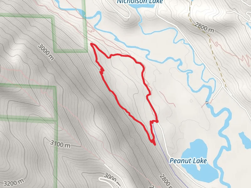 Budd and Lower Loop Wide Path Loop Trail