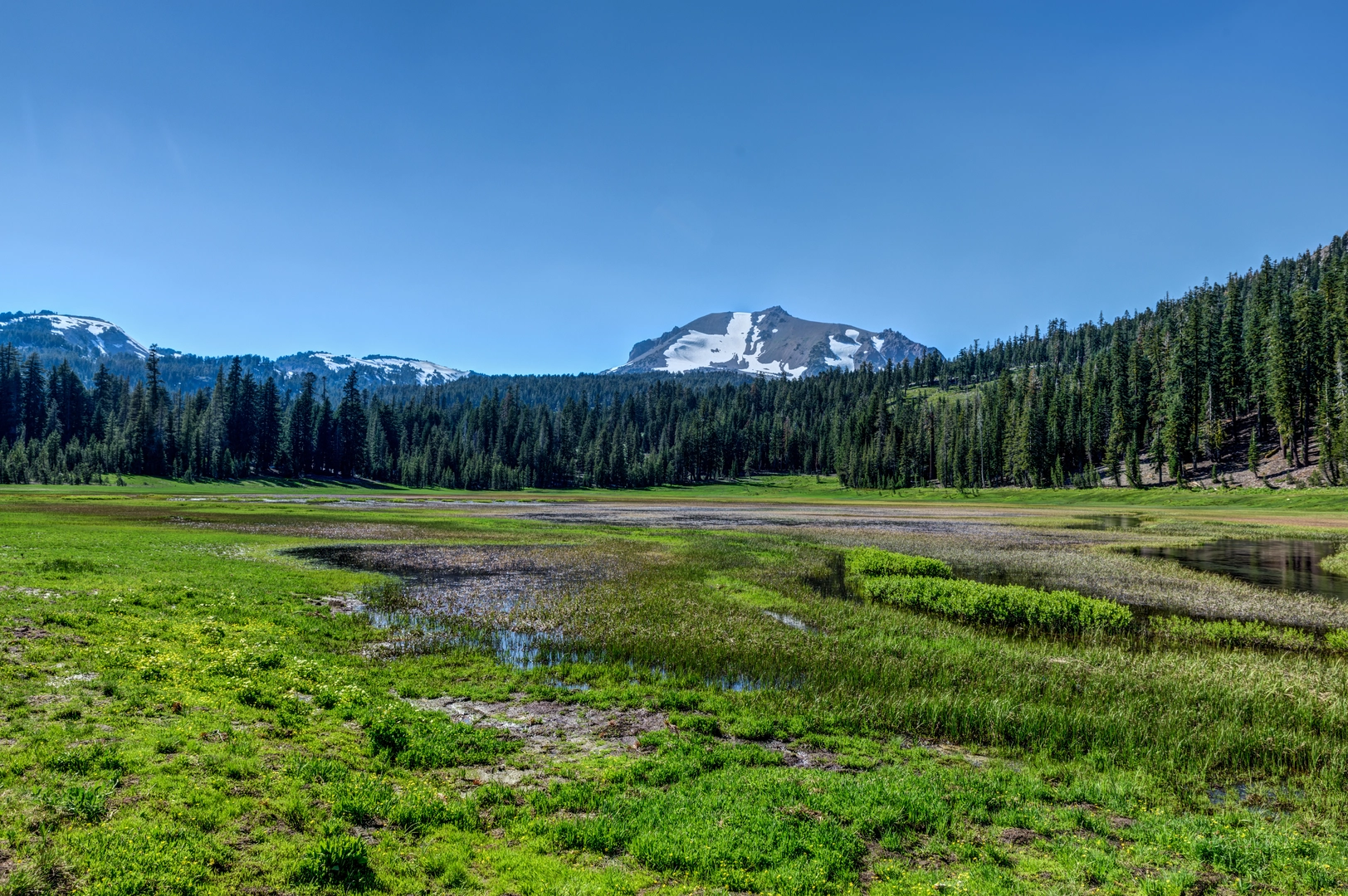 An image depicting the trail Kings Creek and its surrounding area.