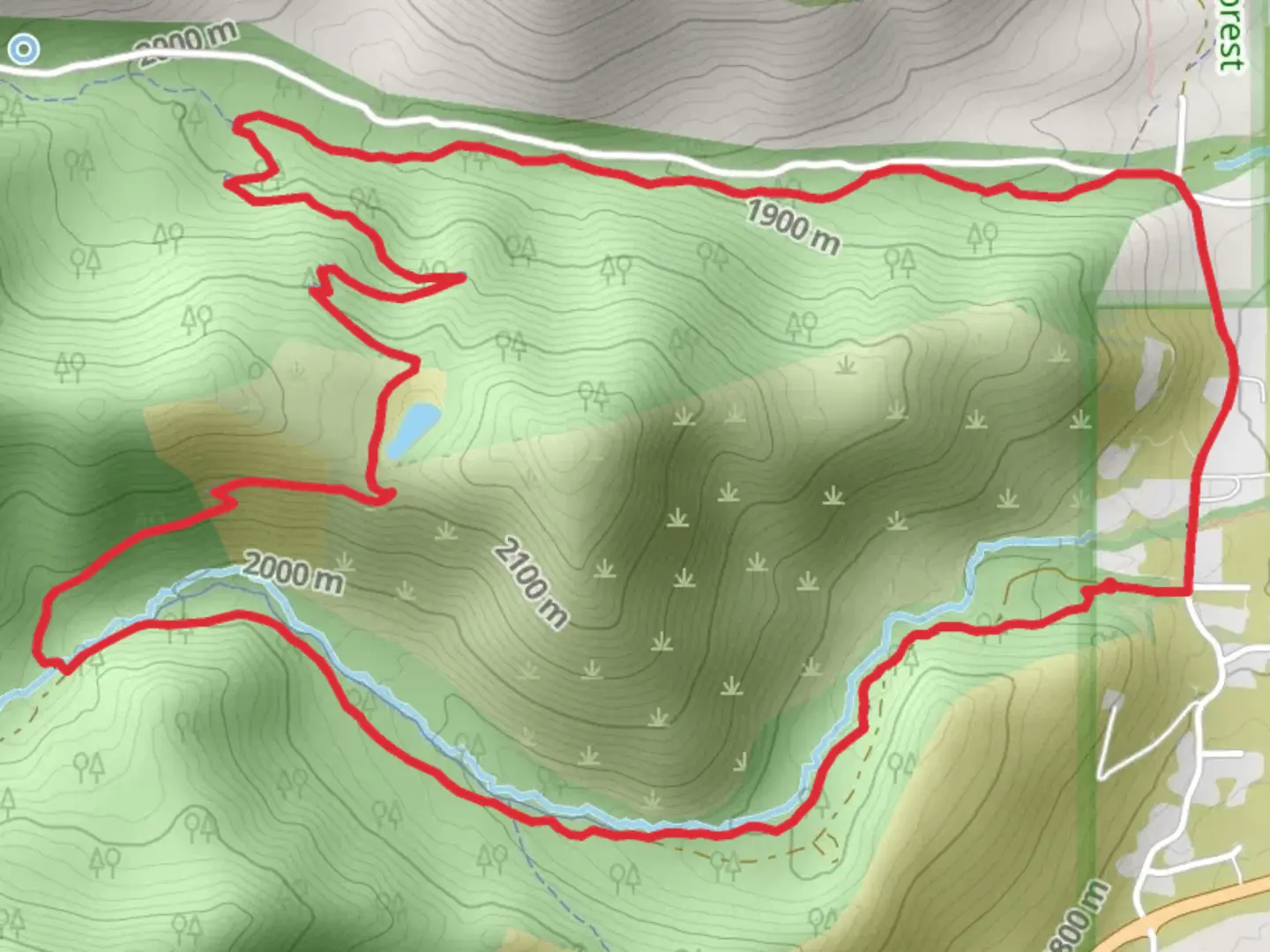 An image depicting the trail Upper Whites Creek - Dry Pond - Upper Thomas Creek Loop Trail and its surrounding area.