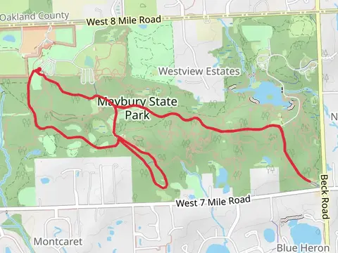The Link Loop