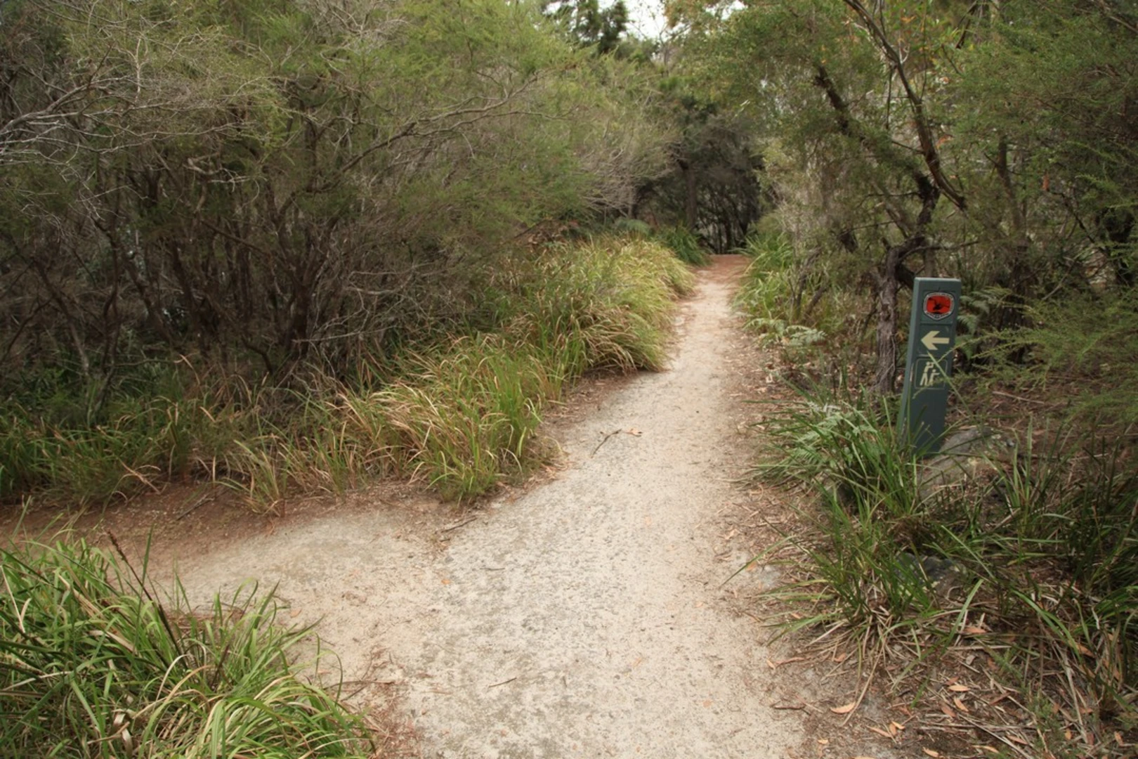 An image depicting the trail Scribbly Gum Track and its surrounding area.