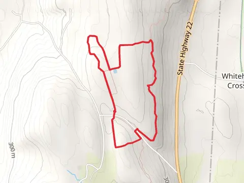 Overmountain Conservation Area Loop