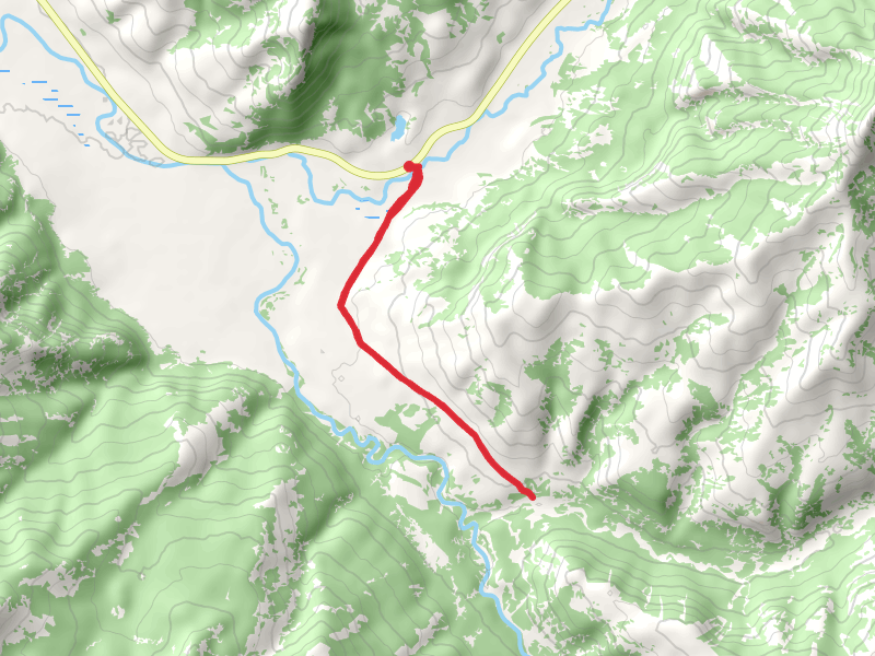 Specimen Ridge Trail and Lamar Valley Trail