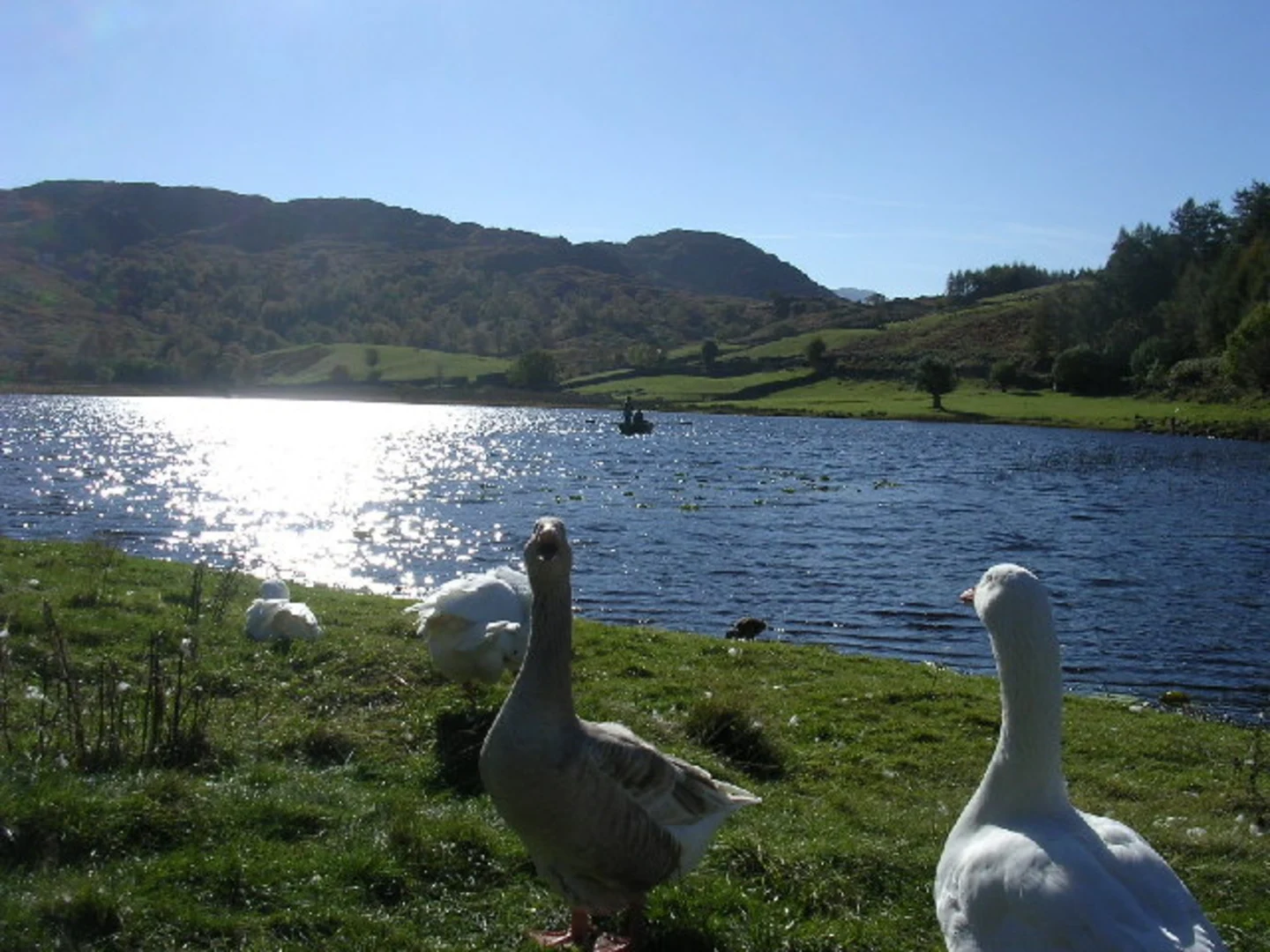 An image depicting the trail Borrowdale - Watendlath and Grange in Borrowdale Loop and its surrounding area.