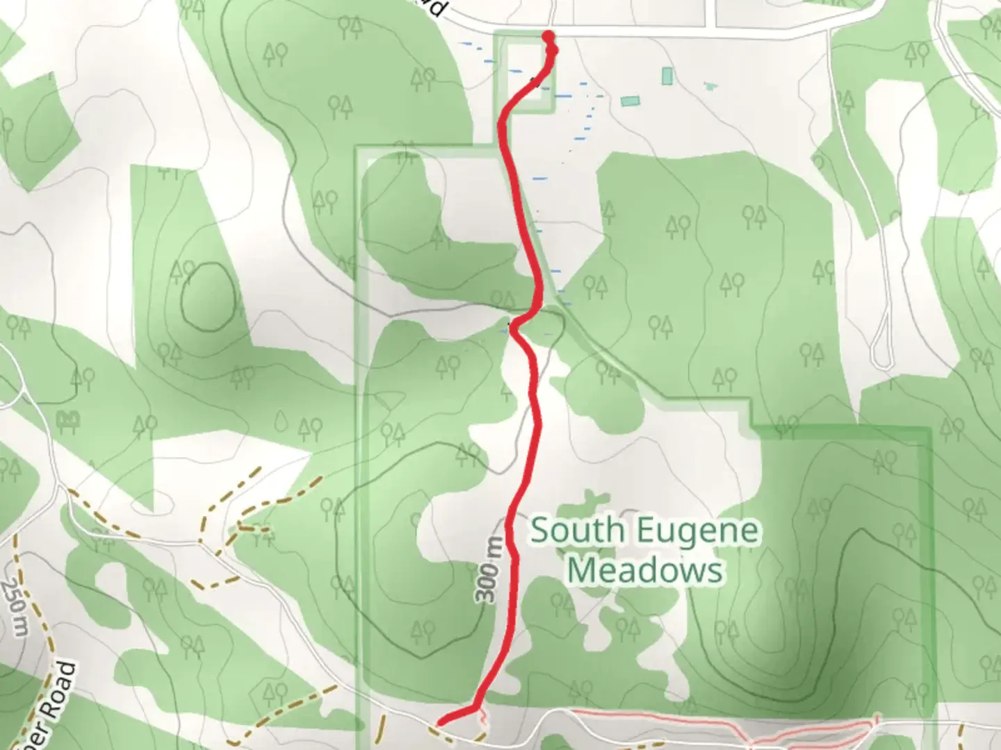 An image depicting the trail Meadows Path Out and Back and its surrounding area.