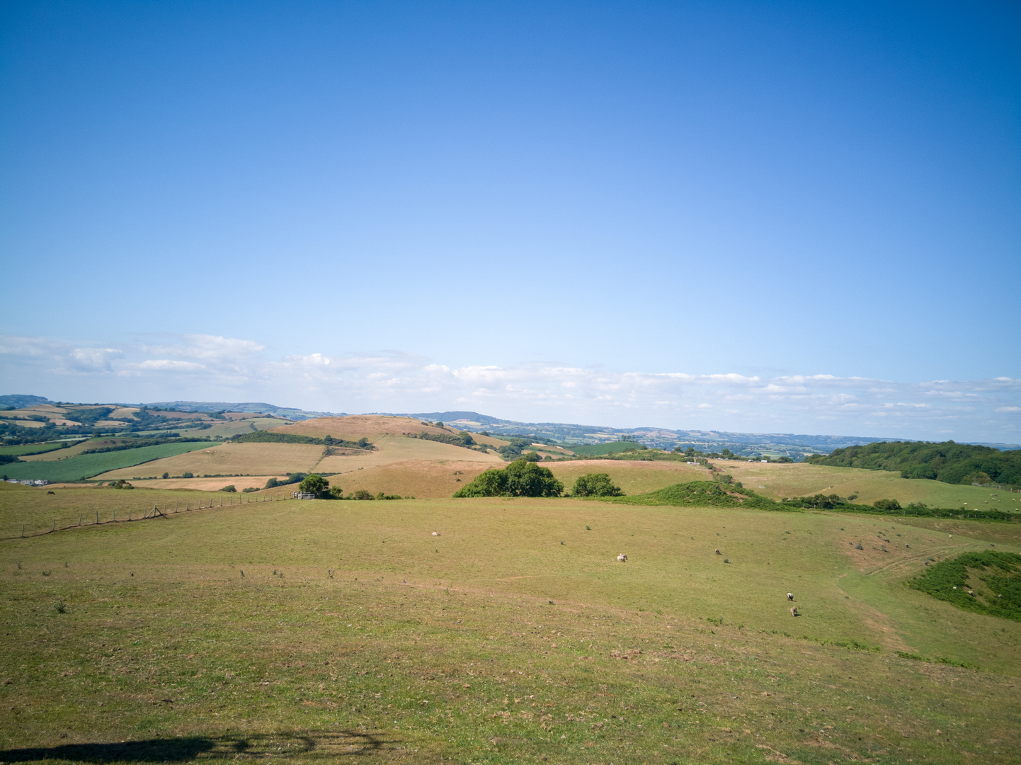 An image depicting the trail Jubilee Trail and its surrounding area.