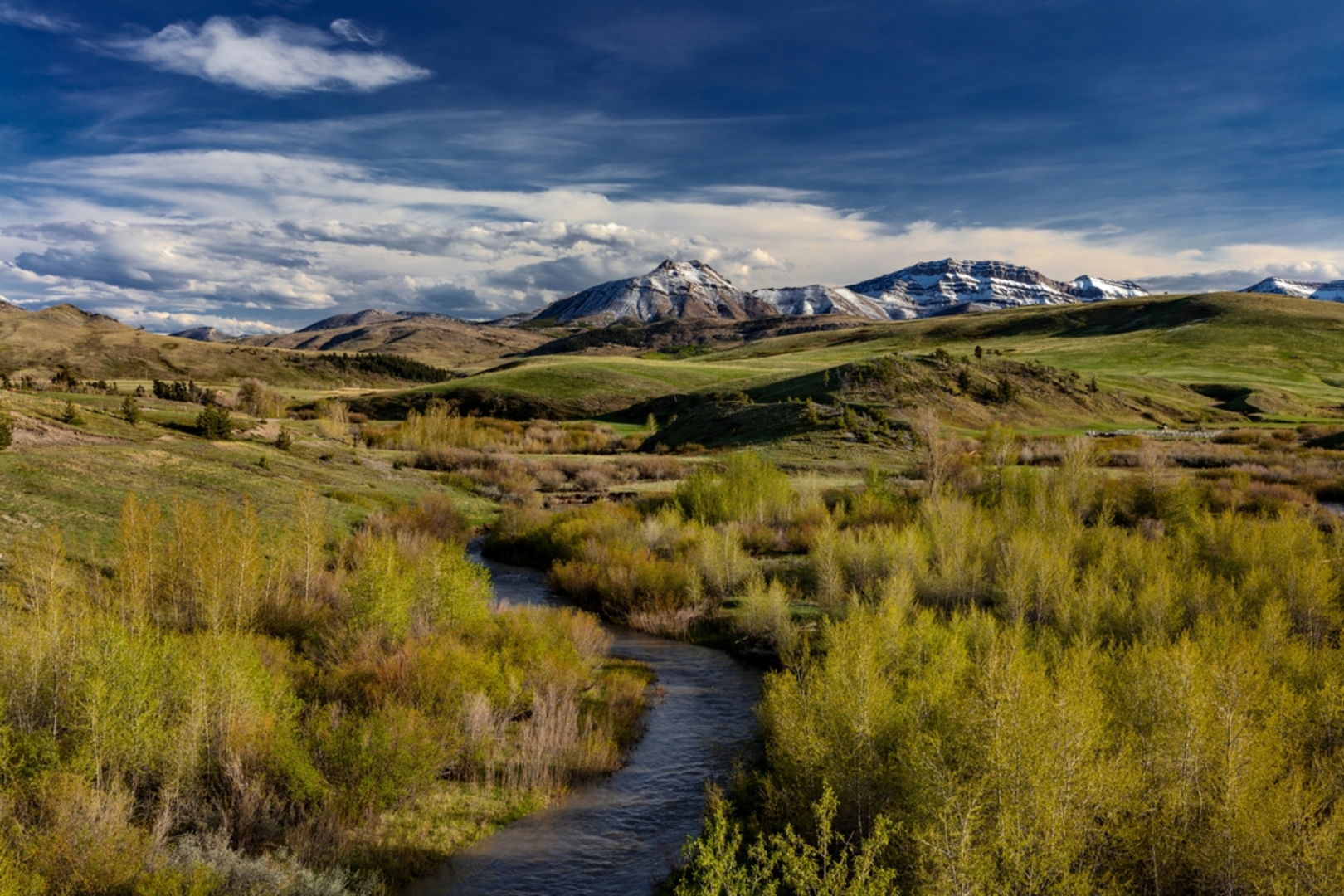 An image depicting the trail Tom Miner Divide South via Buffalo Horn Pass Trail and its surrounding area.