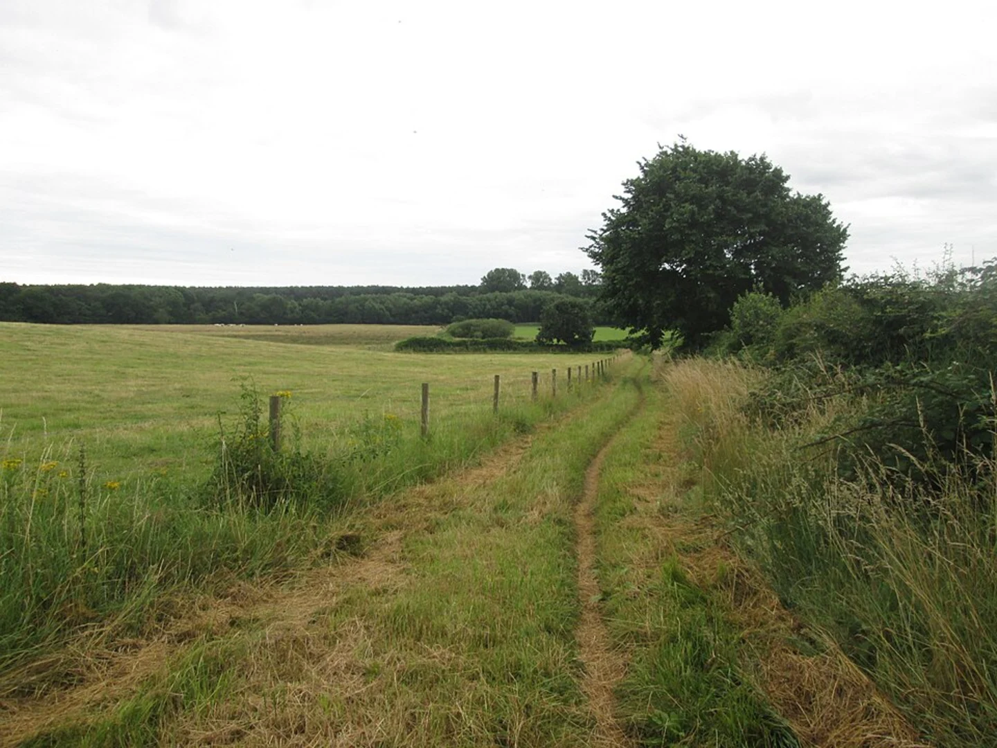 An image depicting the trail Haughton Country Park Loop and its surrounding area.
