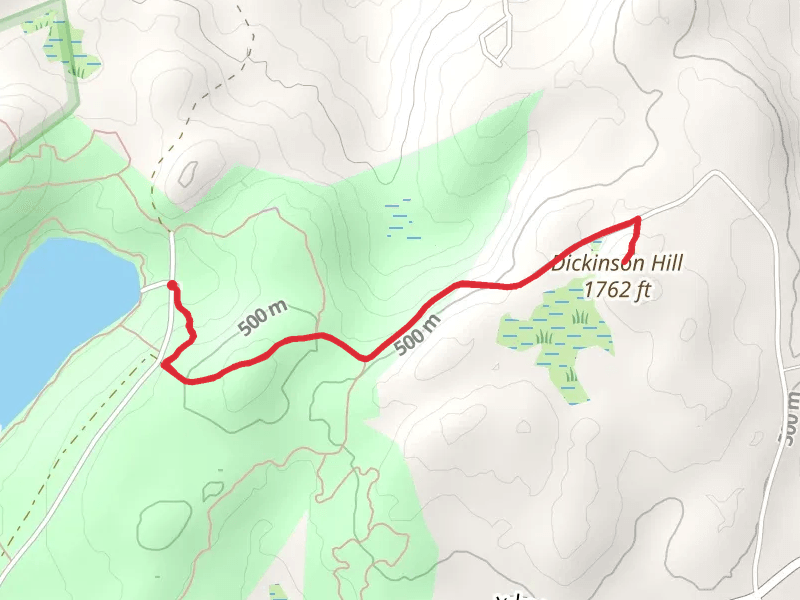 Dickinson Hill via Fire Tower Trail