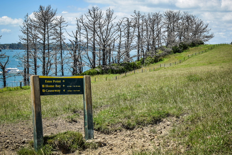 Home Bay to Billy Goat Point