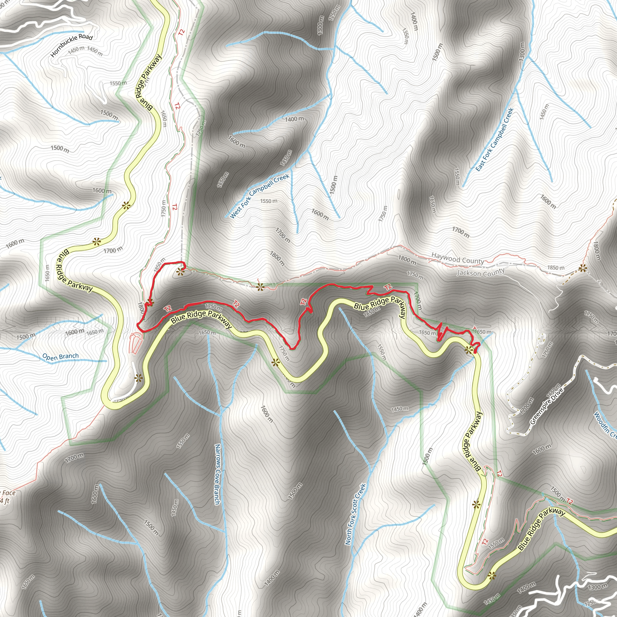 Waterrock Knob Trail Out and Back mobile static map