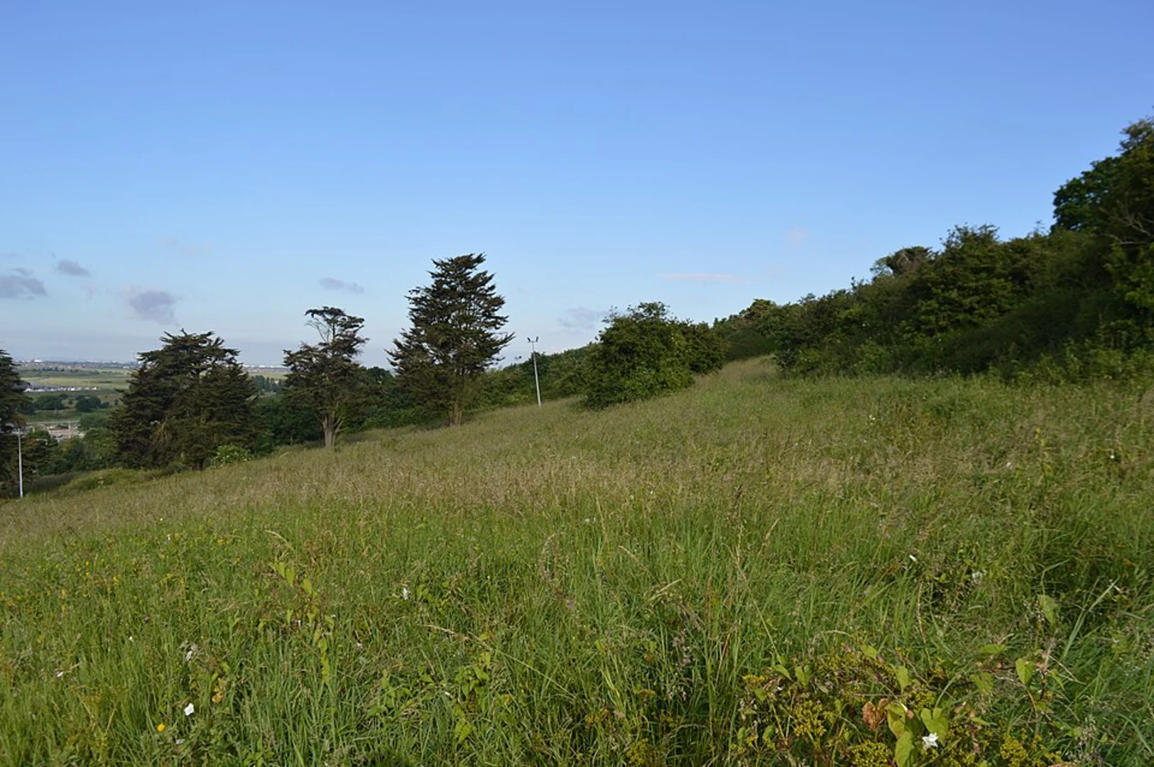 An image depicting the trail Benfleet Downs and Hadleigh Country Park via Saffron Trail and its surrounding area.