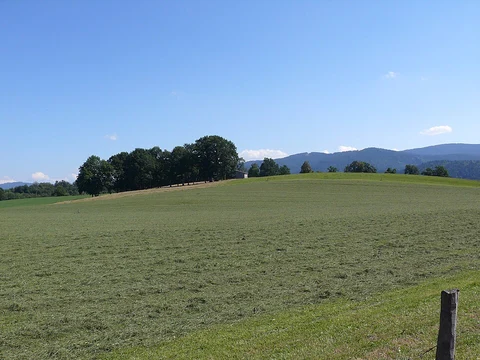 Grünenbaindt and Kobel Loop