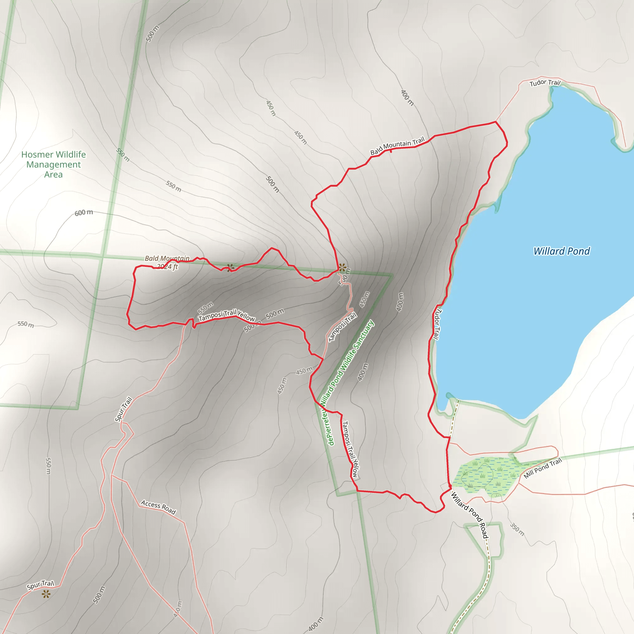 Bald Mountain Loop via Willard Pond mobile static map