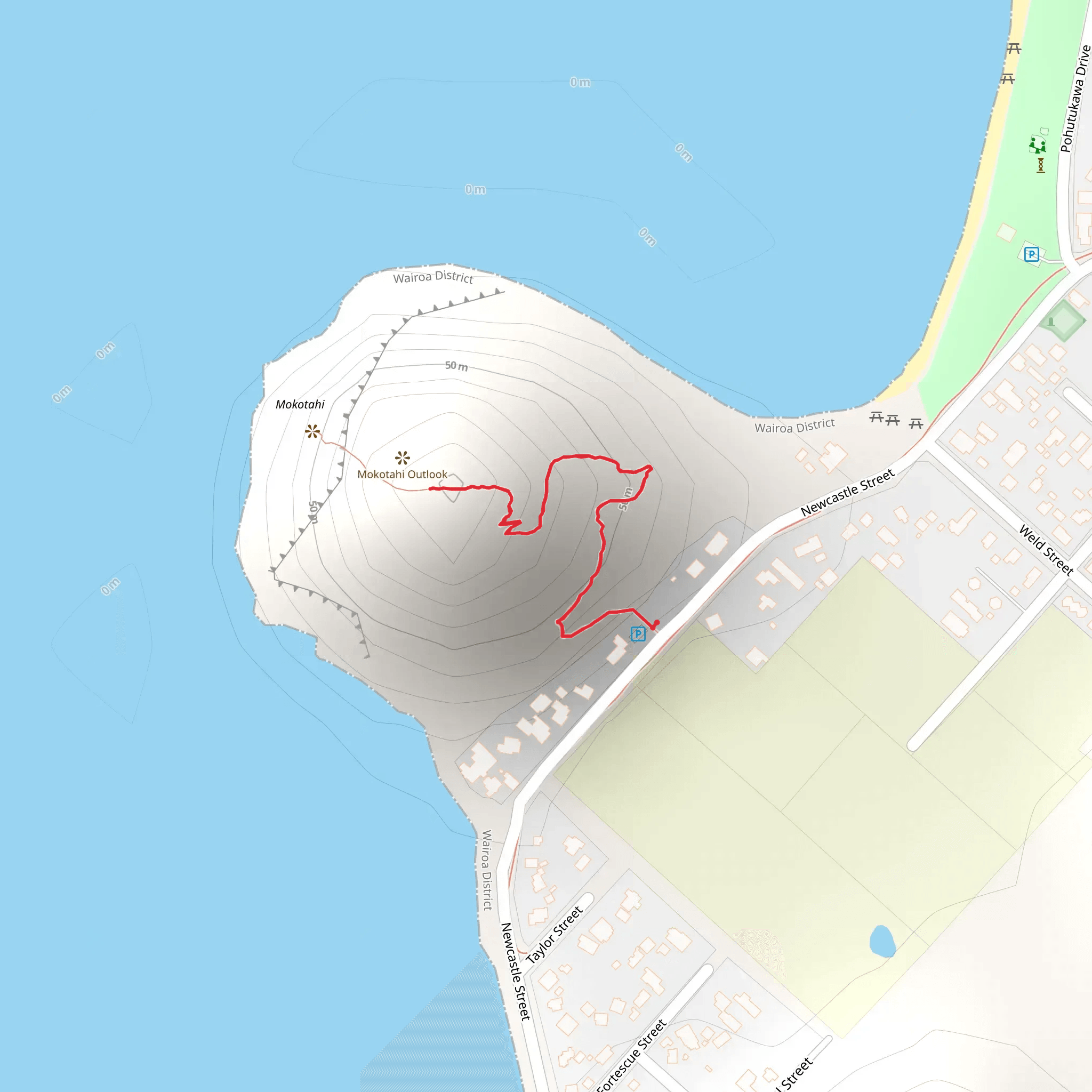Mokotahi Hill Track mobile static map