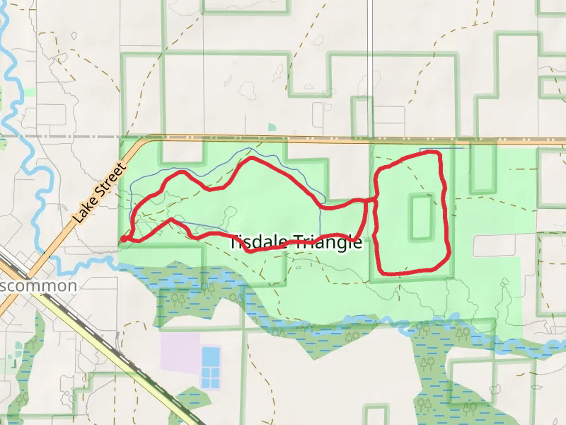 Tisdale Triangle Loop