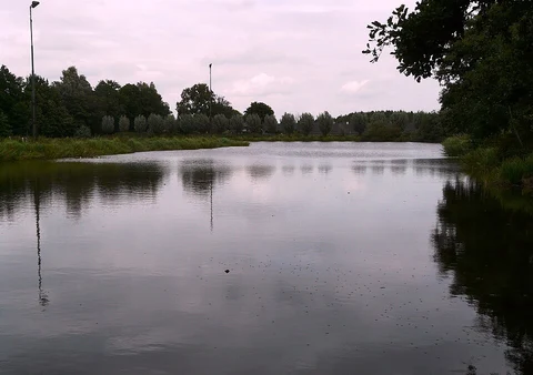 Grote Plas, Dobbeplas and Bieslandse Bos via Heempad