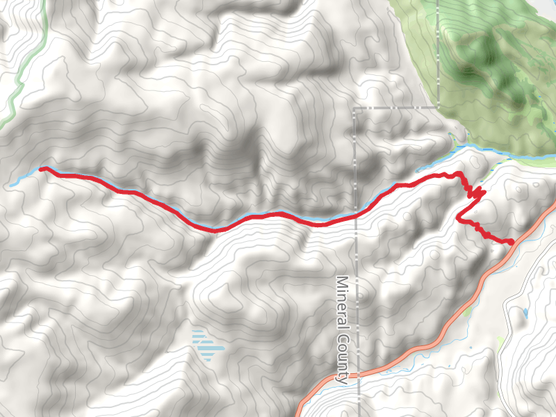 Trout Creek Trail Out and Back