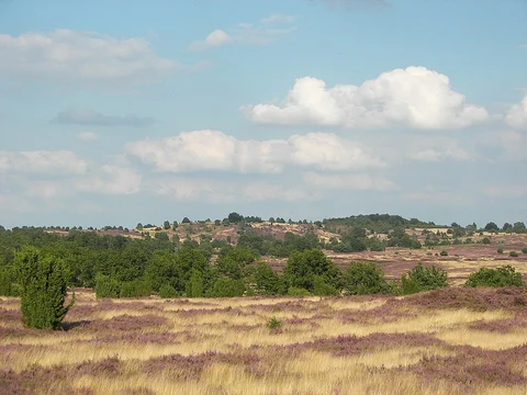 Wilseder Berg, Totengrund and Heide Erlebnis Zentrum Loop