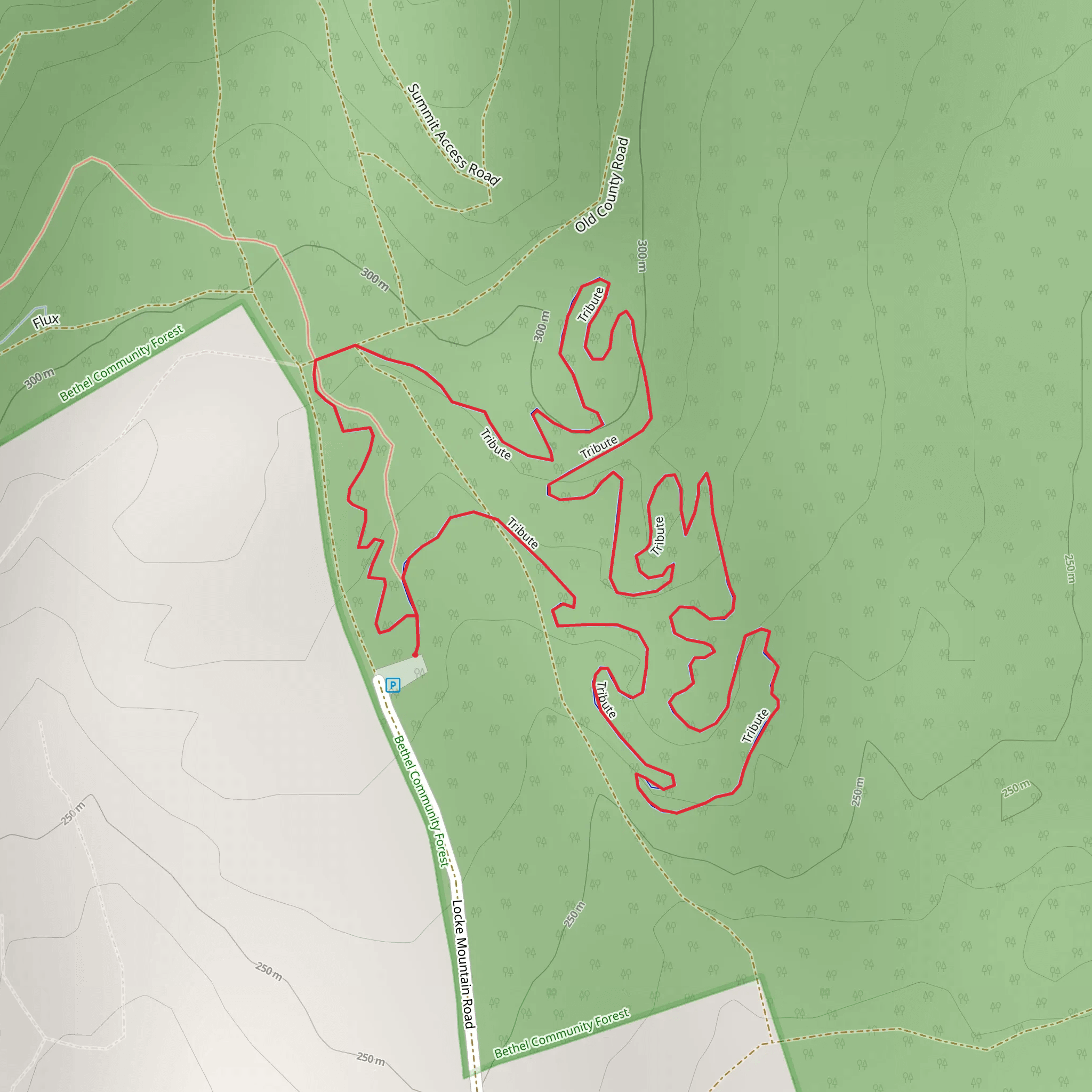 Tribute via Locke Mountain Road mobile static map
