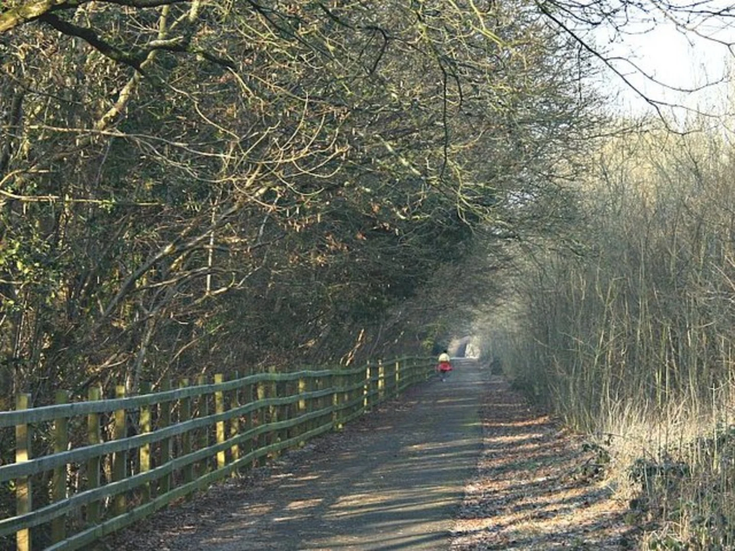 An image depicting the trail Kilmersdon Loop and its surrounding area.