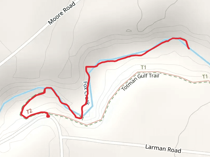 Fox Creek Trail via Totman Gulf Trail