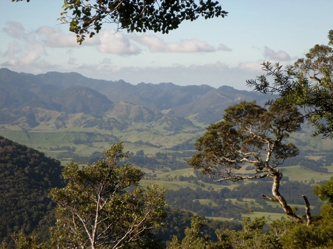 Te Puia Loop