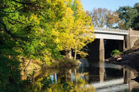 Best of Kyneton Walk
