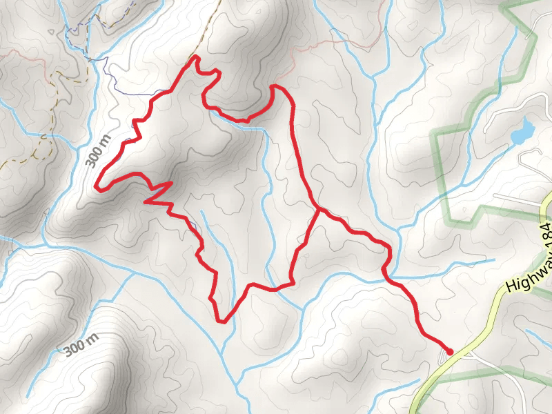 Leatherwood Creek and Frady Branch Trail System Loop