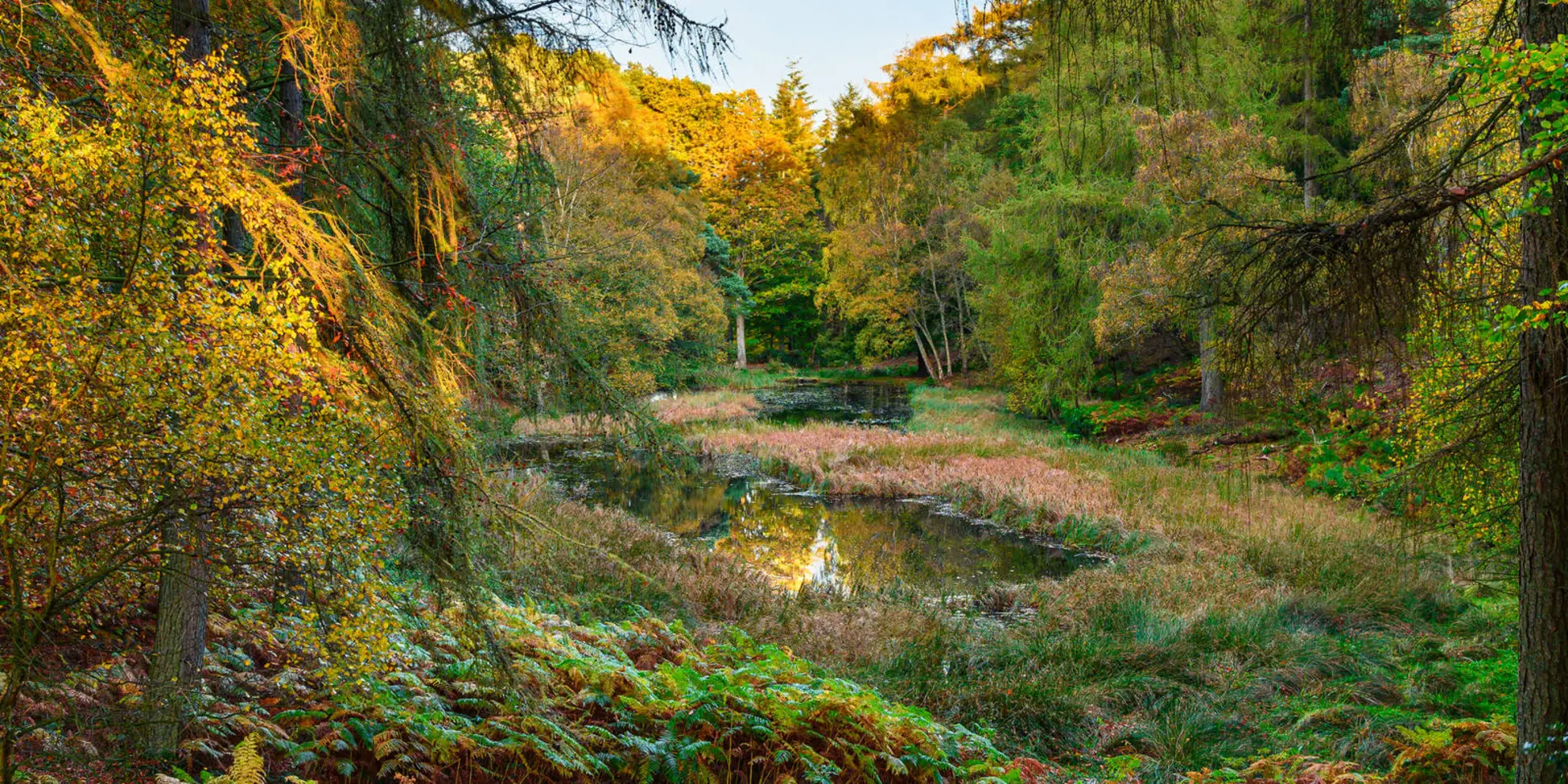 An image depicting the trail Allen Banks Morralee Tarn Walk and its surrounding area.