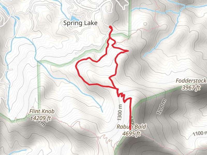 Rabun Bald via Bartram Trail Loop