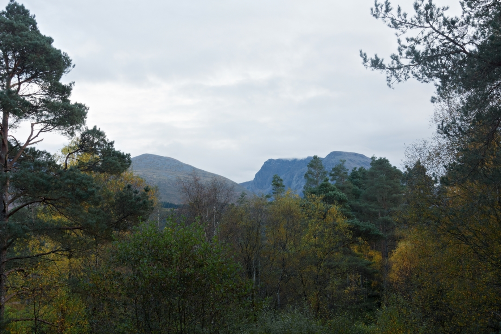 An image depicting the trail Càrn Mòr Dearg via Carn Dearg Madhonach and its surrounding area.