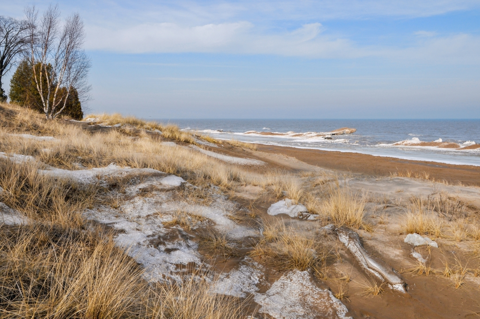 An image depicting the trail Point Beach State Forest Loop and its surrounding area.