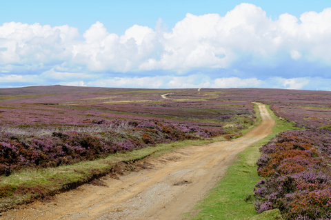 Dickon Howe, Rudland Rigg and Low Mill Loop