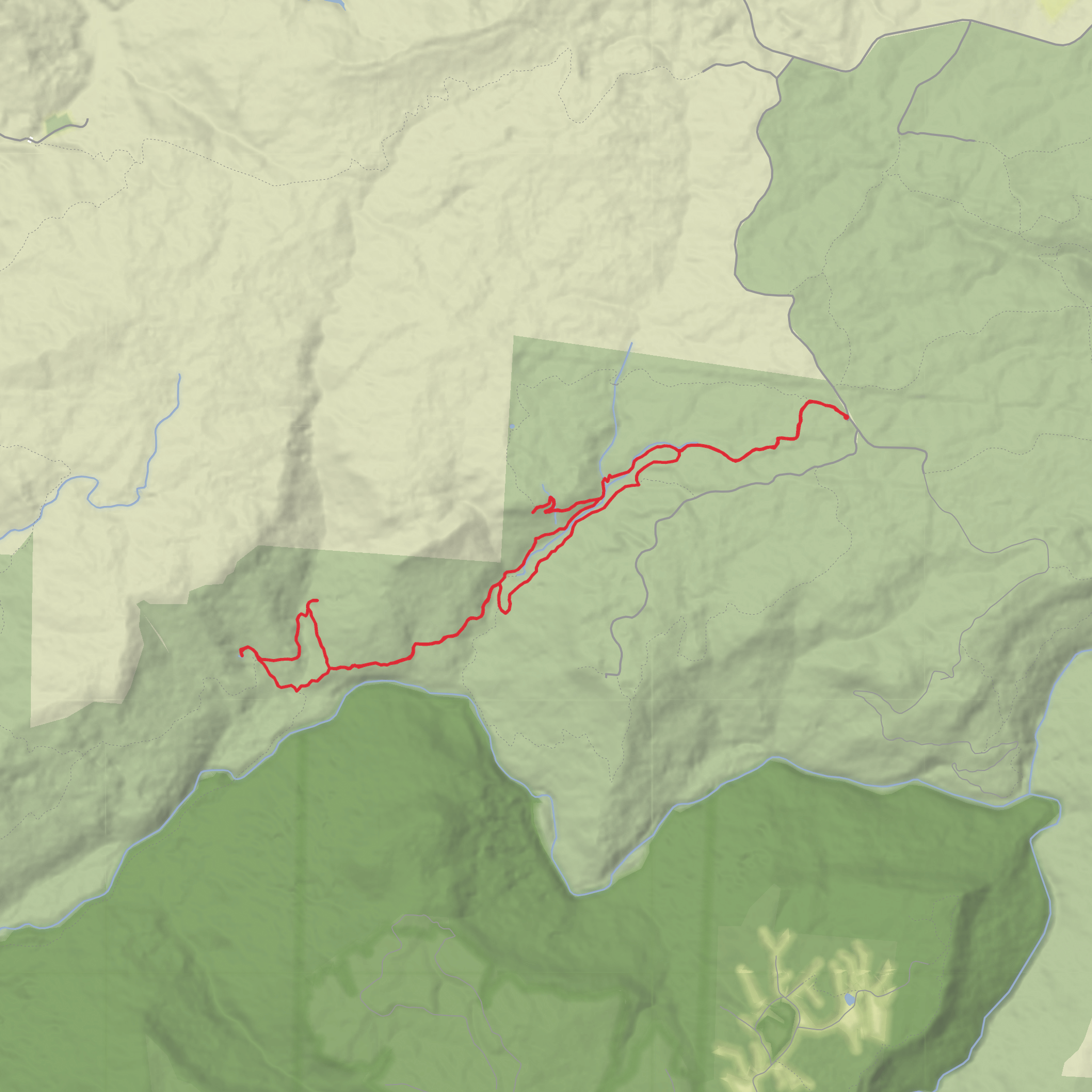 Big Branch Falls, Martha's Pretty Point, Sheep Cave and Virgin Falls via Virgin Falls Trail mobile static map