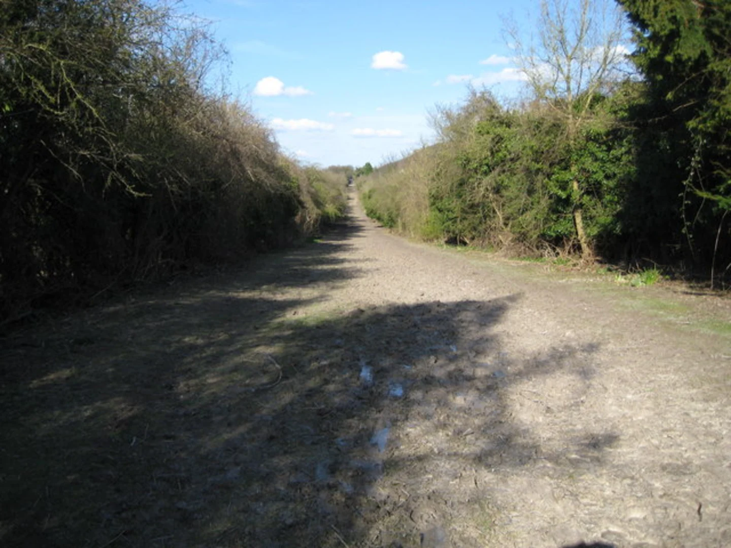 An image depicting the trail The Ridgeway around Chinnor and its surrounding area.