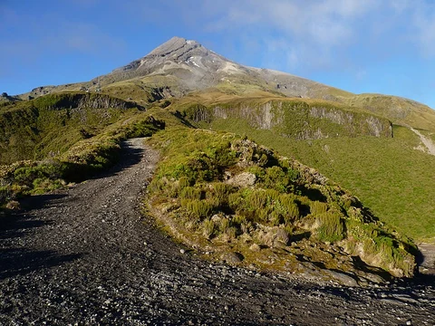 Radio Tower to Tahurangi Lodge to Maketawa Track Loop