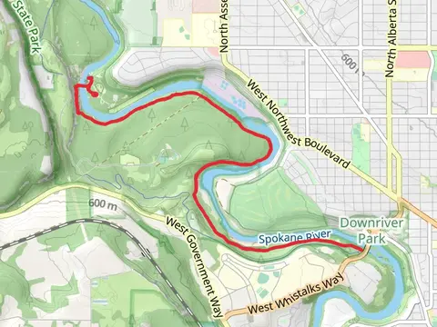 Trail 100 Out and Back
