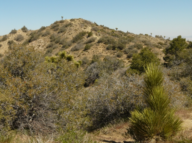Eureka Peak - Canyon View Loop Trail