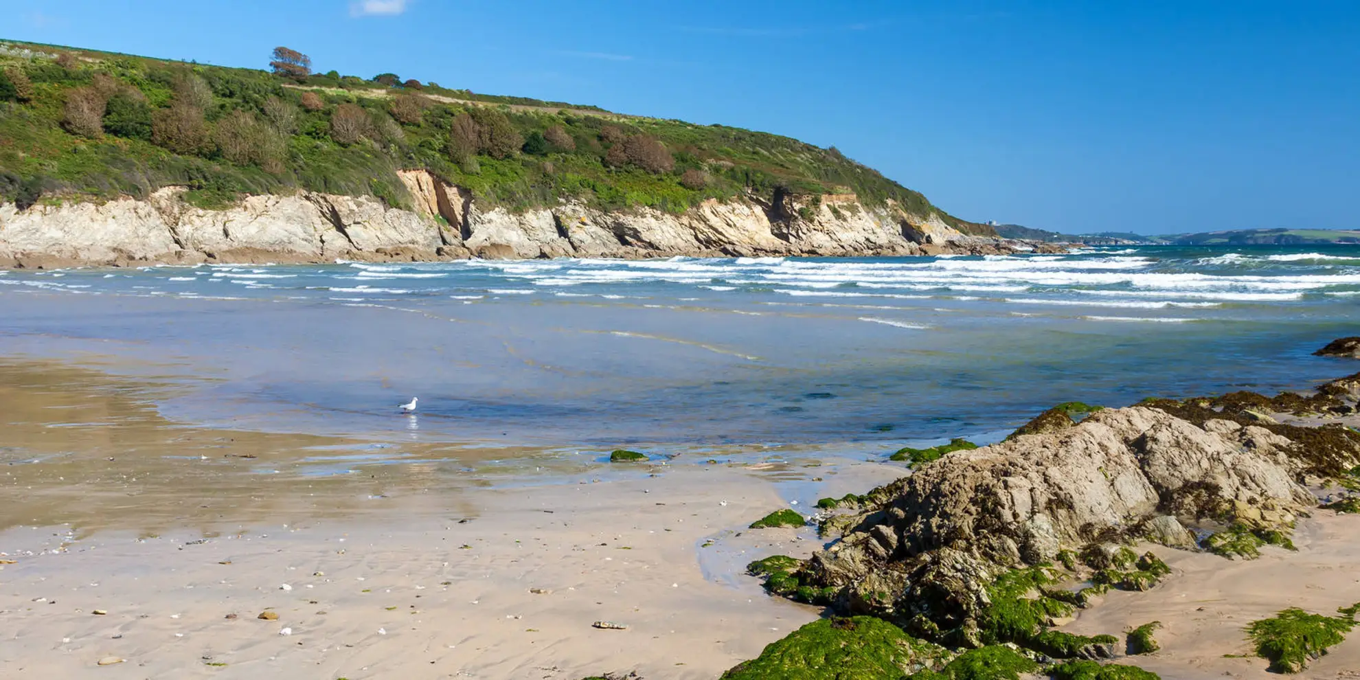An image depicting the trail Maenporth to Swanpool Nature Reserve Walk and its surrounding area.