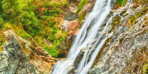 Carew Falls Track