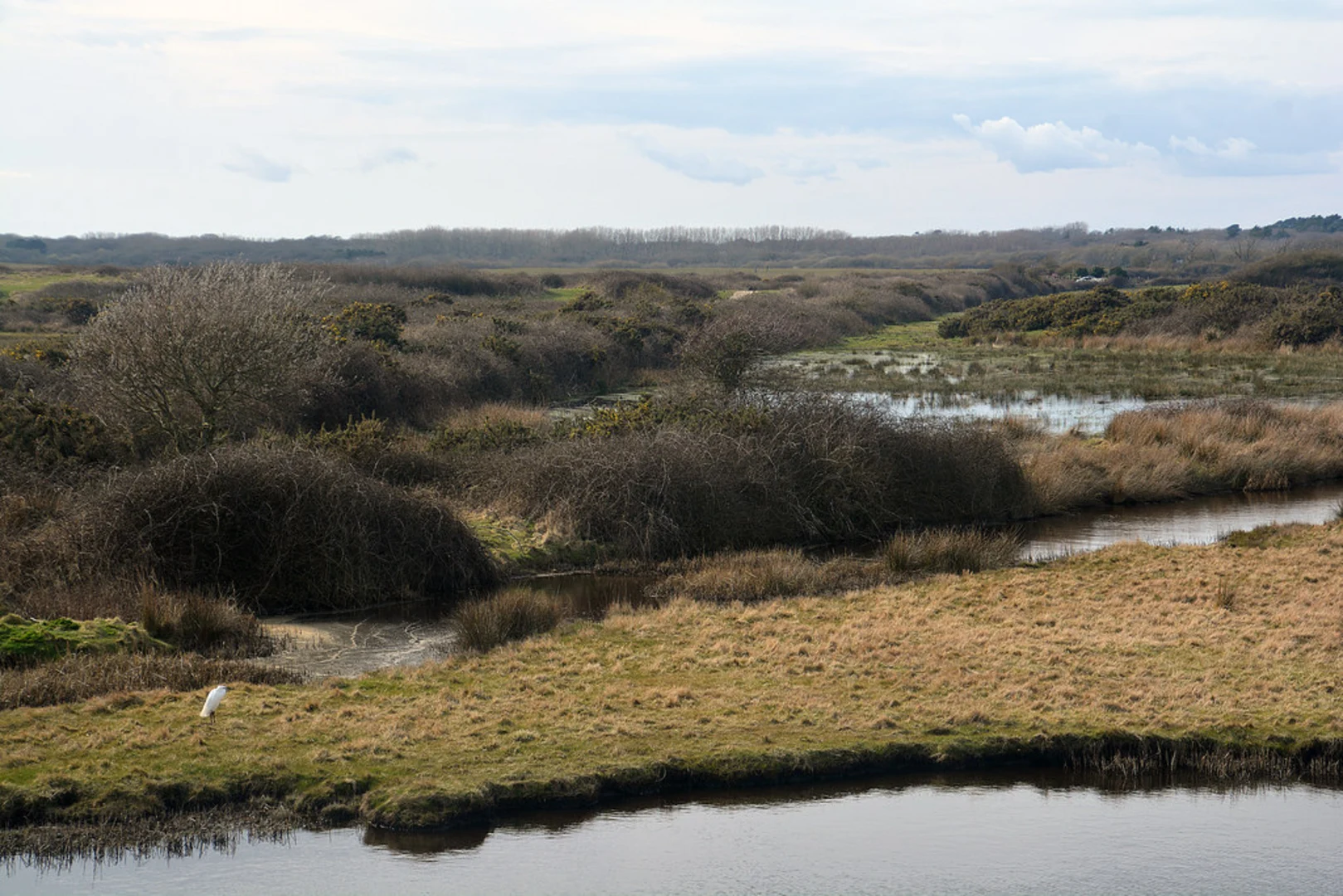 An image depicting the trail Keyhaven Accessible Trail and its surrounding area.