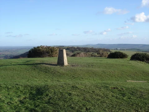 Blackcap, Ditchling Beacon and Keymer Post Walk