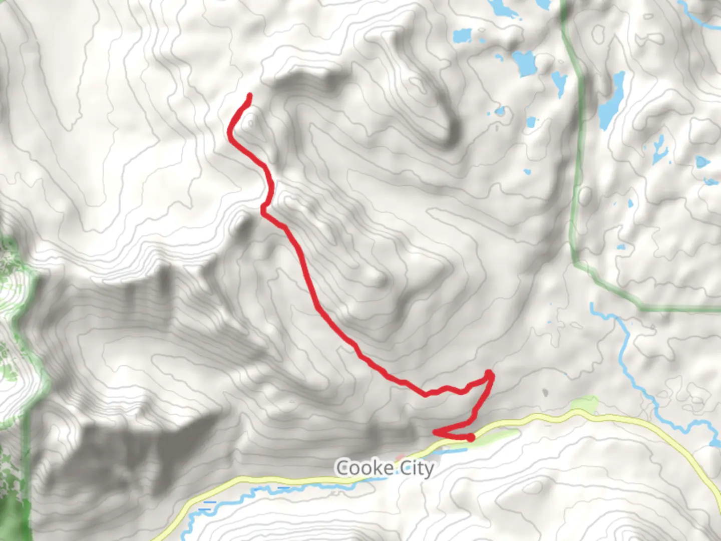 An image depicting the trail Daisy Pass Trail Road Walk and its surrounding area.