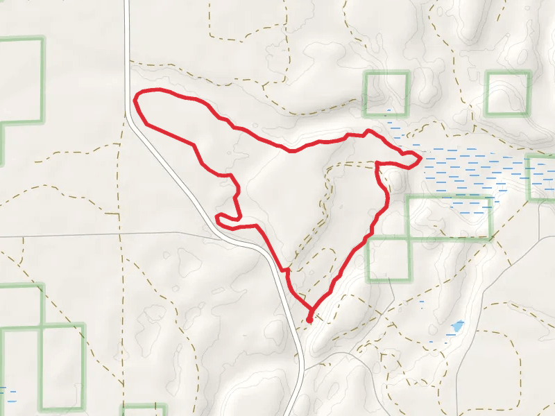 Silver Creek Loop